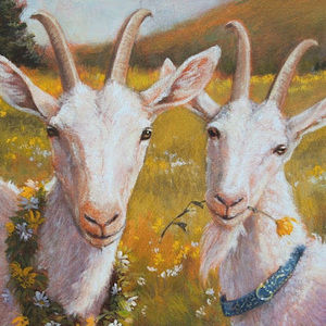 Meet your Posher, Zay